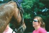 Skidmore Classic Horseshow