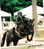 Skidmore Classic Horseshow in Saratoga